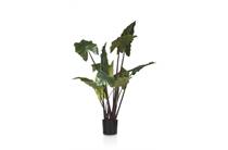 Coco Maison COCO MAISON  Colocasia H130cm